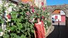 Audresselles_02