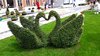 Boulogne_13