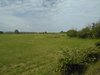 Chemin_de_Fer_Baie_de_Somme_12