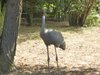 parc_ioseaux_23