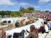 parc_ioseaux_90
