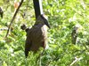 parc_ioseaux_05