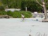 parc_ioseaux_70