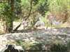 parc_ioseaux_18