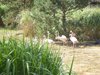 parc_ioseaux_21