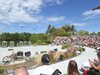 parc_ioseaux_88
