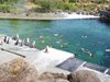 parc_ioseaux_99