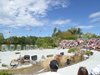 parc_ioseaux_86
