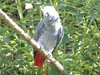 parc_ioseaux_06