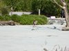 parc_ioseaux_71