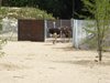 parc_ioseaux_56